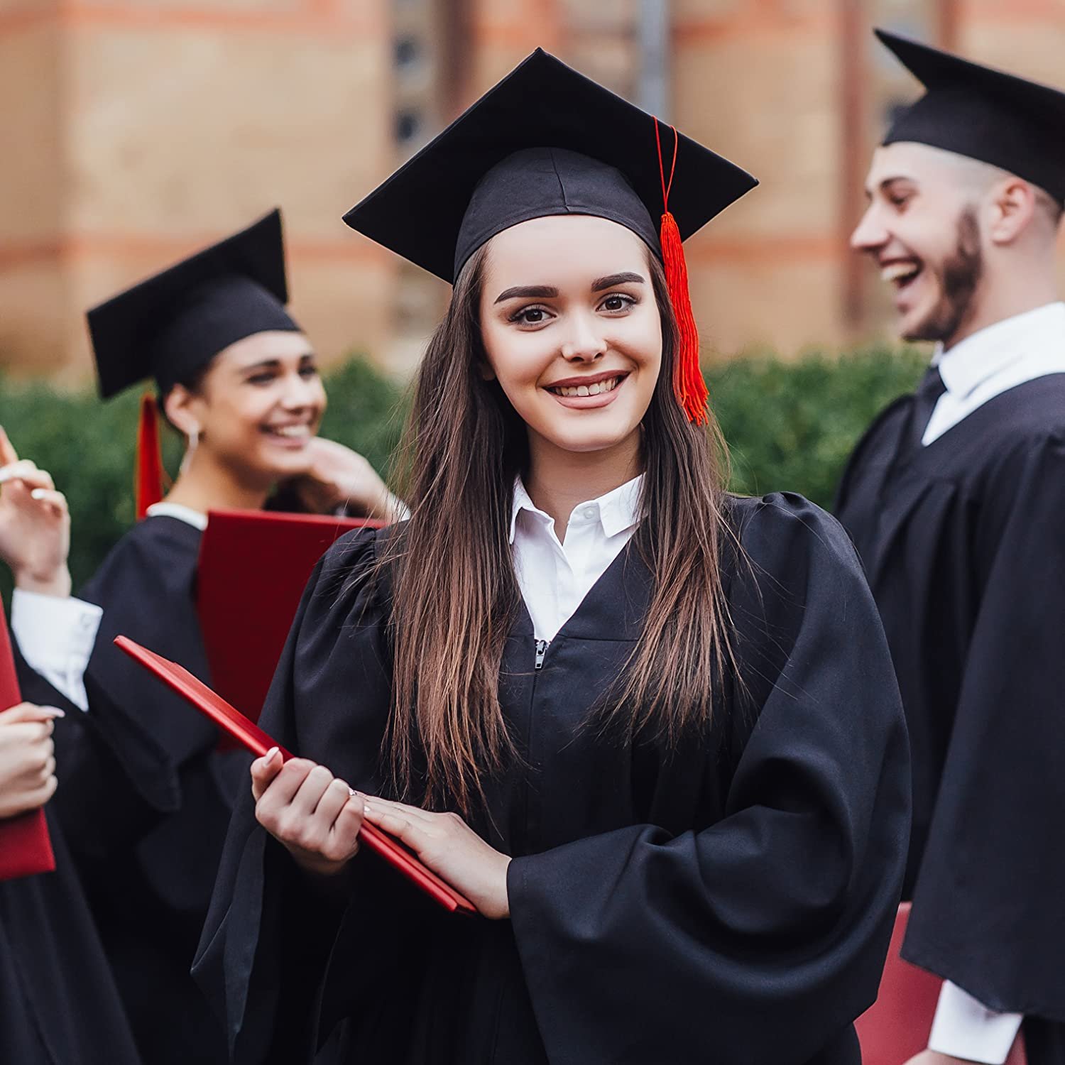 PROFESSIONAL MASTER AND DIPLOMA DEGREE 